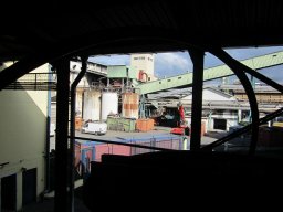 Visite de la petite cousine !